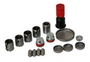 Ford Racing 4.6 Liter Aluminum Block Plug and Dowel Kit-1