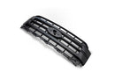 Ford Racing 2021 F-150 Black Painted Grille-2
