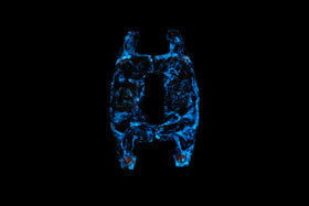 Benz AMG forged carbon paddle shifters  - LUMINOUS BLUE (2022)