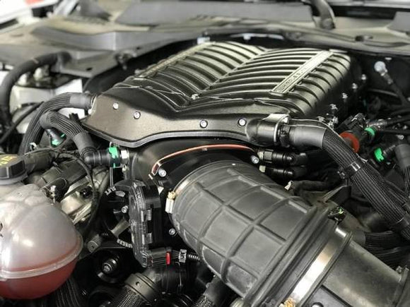 Whipple 2016-2020 Mustang GT350 3.0L SC Kit