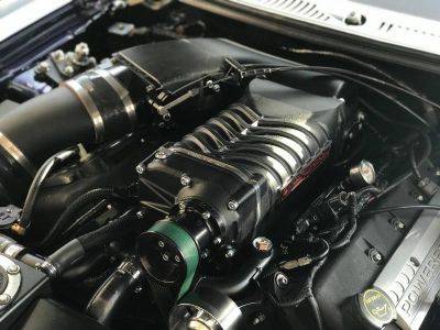 Whipple 2003-2004 Cobra 2.9L SC Kit **For Use With Aftermarket Oval Throttle Body**