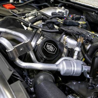 Wehrli 2017-2024 Chevrolet 6.6L L5P Duramax Intake Resonator Delete Plug - Black Anodized