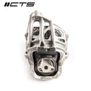 CTS Turbo Audi B9/9.5/4M A4/S4/A5/S5/RS5/SQ5/Q7Allroad Street Sport Motor Mounts-2