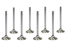 Manley Chrysler Hemi 6.1L w/ Triple Groove 1.625in Race Master Exhaust Valves (Set of 8)