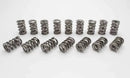 Manley Circle Track Roller Polished NexTek Series Valve Springs-1