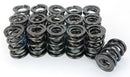 Manley NexTek Series 1.580 OD .832 ID .730 Lift Oval Track and Endurance Valve Springs-1