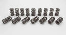 Manley 16pc NexTek Drag Race/Oval Track &amp; Endurance Valve Springs-1