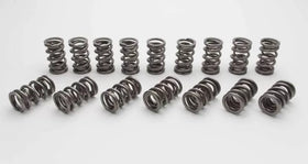 Manley 16pc NexTek Drag Race/Oval Track &amp; Endurance Valve Springs