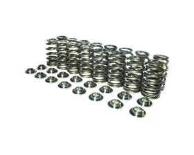 Manley Small Block Chevy LS Series 1.335 Double NexTek High Perf Valve Springs
