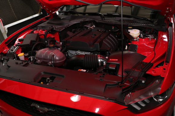 FORD Mustang 2.3l carbon air intake