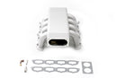 4.6L 3V Ford Mustang GT Intake Manifold-5