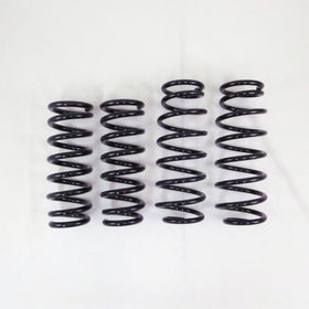 RS-R 2011+ Infiniti M37x (KNY51) Down Sus Springs