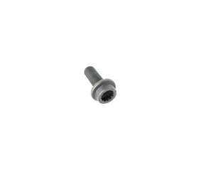 12 Point Bolt (M12x1.25x30) - VW/Audi
