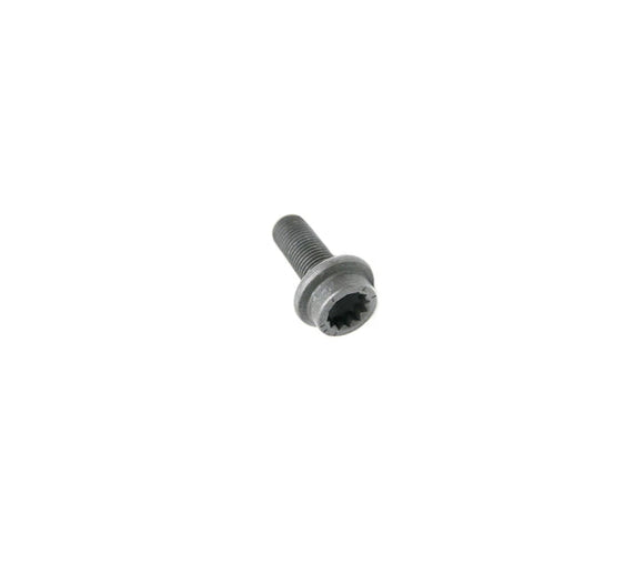 12 Point Bolt (M12x1.25x30) - VW/Audi