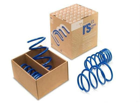 NM Engineering RS Alpha Spring Set - R5X MINI