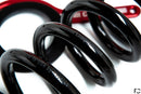 Novelli Competizione - Ferrari Performance Lowering Spring Kit-3