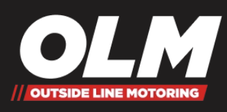 OLM Canbus Decoder H7
