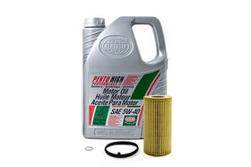 Complete Oil Service Kit: 2.0T FSI