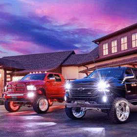 Oracle License Plate - Black SEE WARRANTY