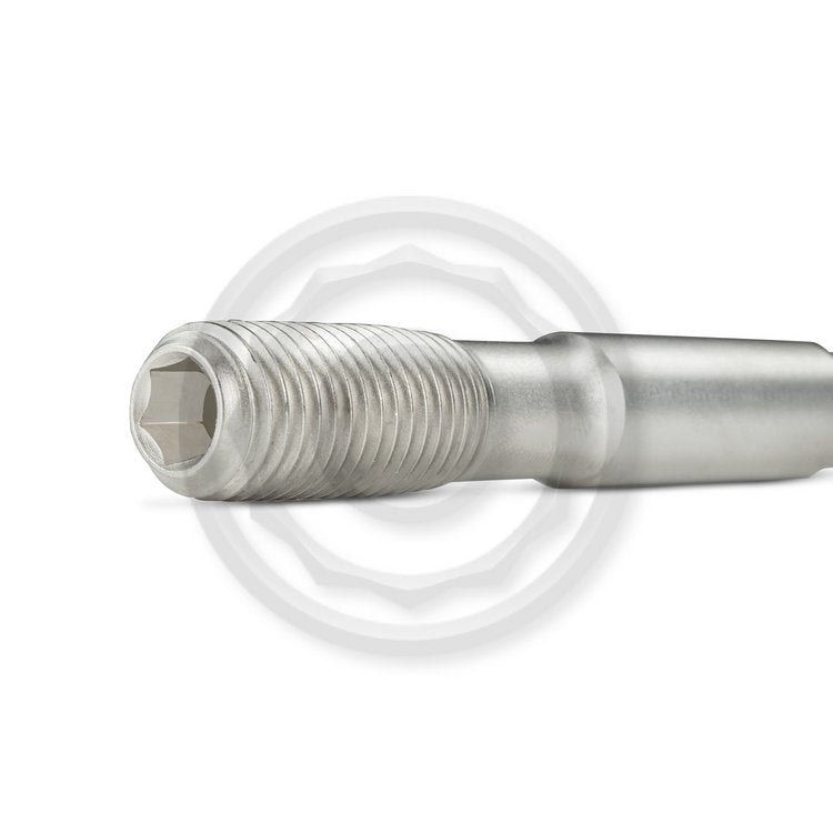 Wagner Tuning Audi RS6 C8 OEM Head Stud Set - Nickeled