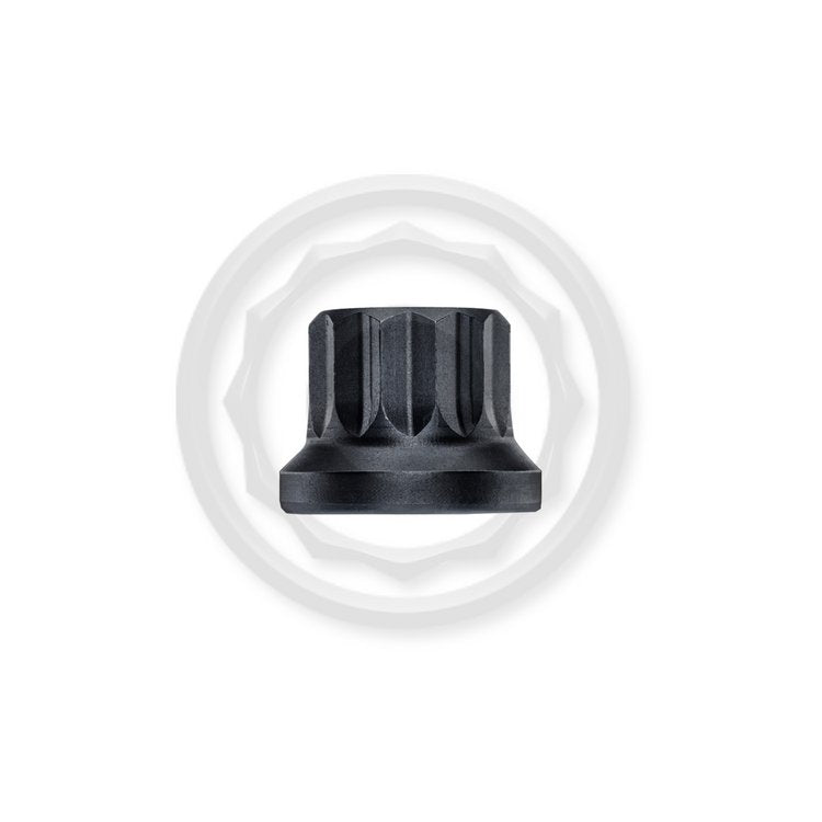 Wagner Tuning BMW N55 Engine OEM Head Stud Set - Burnished