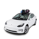 SeaSucker Pallavicini Ski Rack (Skis/Snowboards - 2 Sets)-2