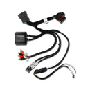 DS18 Plug and Play Harness For Harley Davidson For DS18 Amp Connection w/ Factory Radio-1
