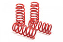 Race Springs C5 A6 Avant Quattro-1