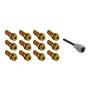 Spectre Header Bolts w/Tool - 7/8in.-1