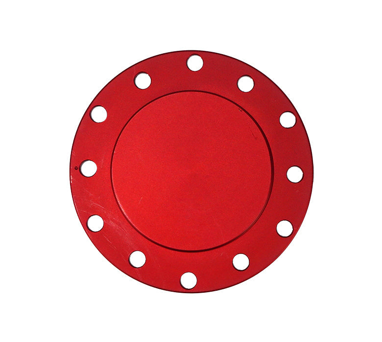 NRG Horn Delete Plate Flush 70x6in / 74x6 PCD pattern - Red