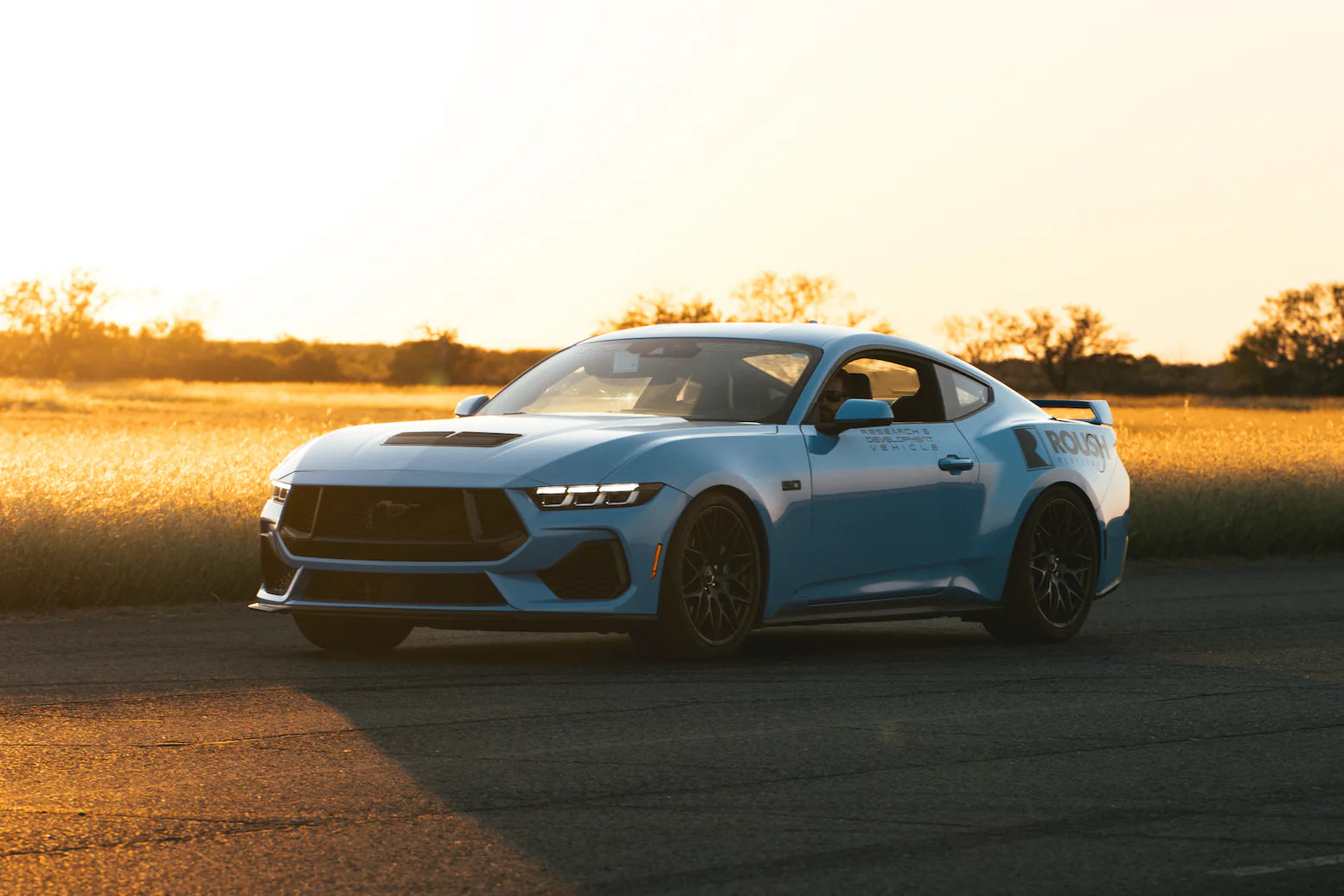 2015-2025 Roush Mustang Lowering Springs