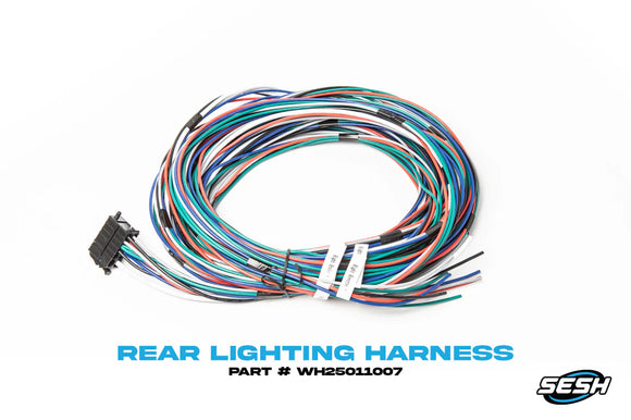 SESH - CHASSIS HARNESS