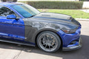 Anderson Composites 15-17 Ford Mustang (Excl. GT350/GT350R) Super Snake Double Sided Hood-3