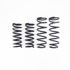 RS-R 2021 Toyota Mirai (JPD20) FCV Down Sus Springs