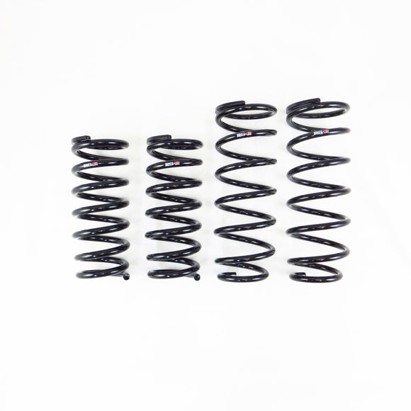 RS-R 2021 Toyota Mirai (JPD20) FCV Down Sus Springs