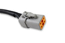 40 AMP DTP 4-Pin Halo Light Harness-2