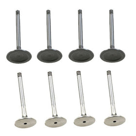 Valve - Set of Intake | Exhaust | Mk4 | Mk3 2.0L