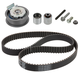 VW Timing Belt Kit - INA 06F198119A