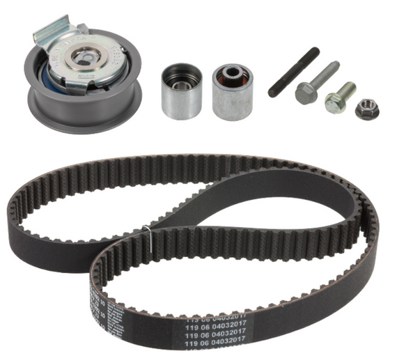 VW Timing Belt Kit - INA 06F198119A