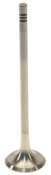Mini Engine Exhaust Valve - AE 11347547187