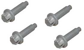 BMW Engine Mount Screw Set - Rein 22110392551