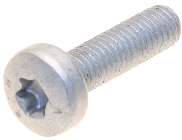 Audi Porsche VW Torx Screw - Genuine Audi VW N10700201