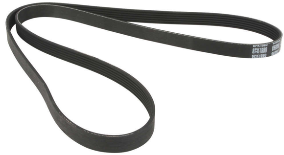 DAYCO Poly Rib Serpentine Belt