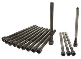 BMW Cylinder Head Bolt Set - Reinz 11127574303