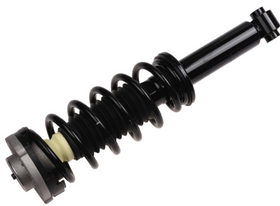 Pro-STRUT Rear Strut and Coil Spring Assembly 2011-18 BMW X3/X4
