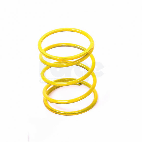 large Dump Valve Spring (Single)