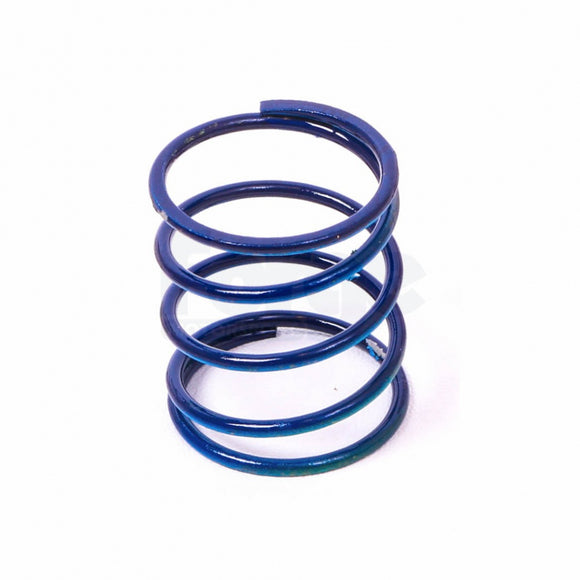 large Dump Valve Spring (Single)