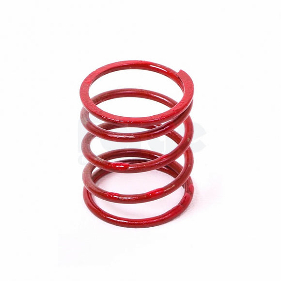 large Dump Valve Spring (Single)