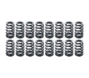 Ferrea Audi 2.0T FSI 16V Single Valve Spring - Set of 16-1