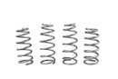 WSK-MAZ002 - Coil Spring-1